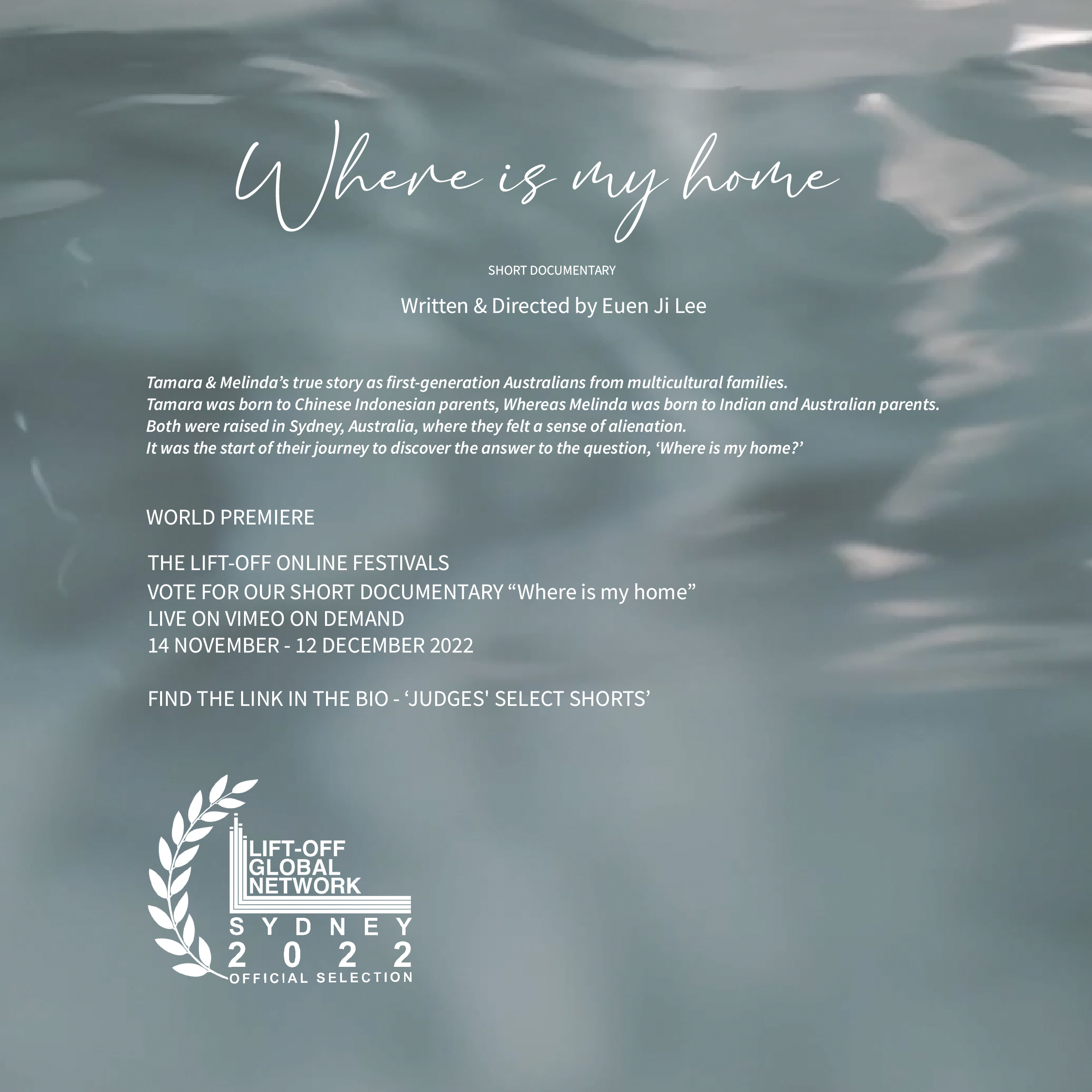 WIMH Poster with official selection laurel-09